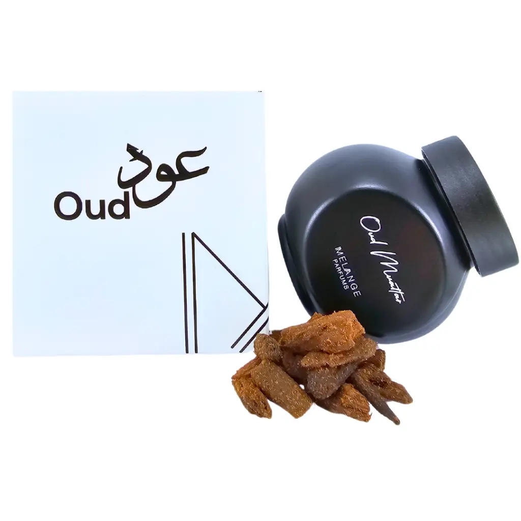 Untitled design(5).webp