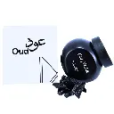 Untitled design(7).webp